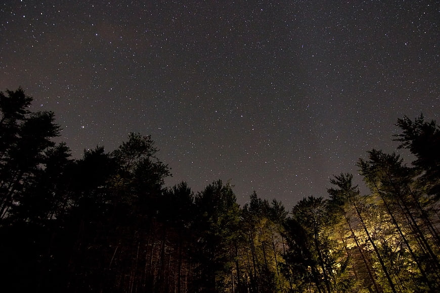 Starry Night Sky Over Dark Pine Forest Silhouette