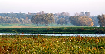 Serene River Landscape with Green Meadows and Autumn Trees