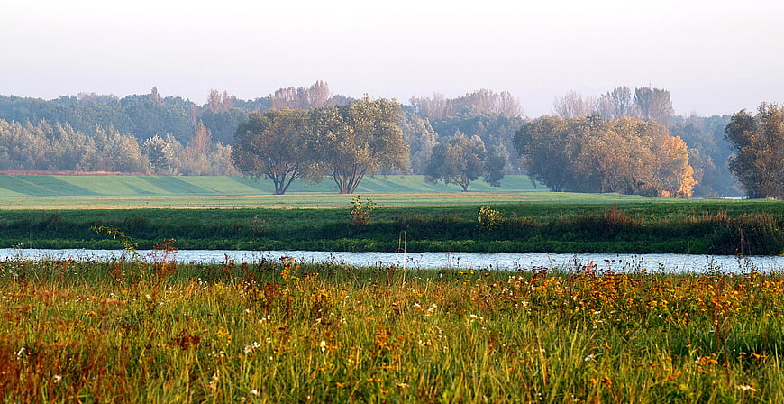Serene River Landscape with Green Meadows and Autumn Trees