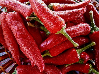 Fresh Red Chili Peppers with Water Droplets