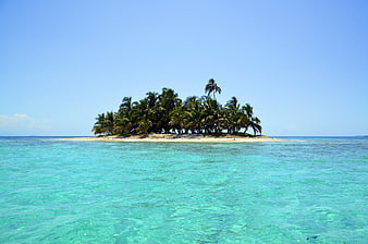 Tropical island with palm trees in turquoise ocean water