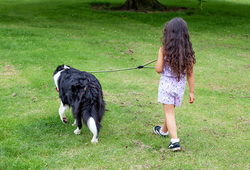 Little Girl Walking Black and White Dog in Park