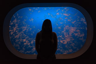 Silhouette of woman watching jellyfish in aquarium