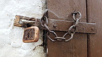 Rusty padlock and chain securing old wooden gate