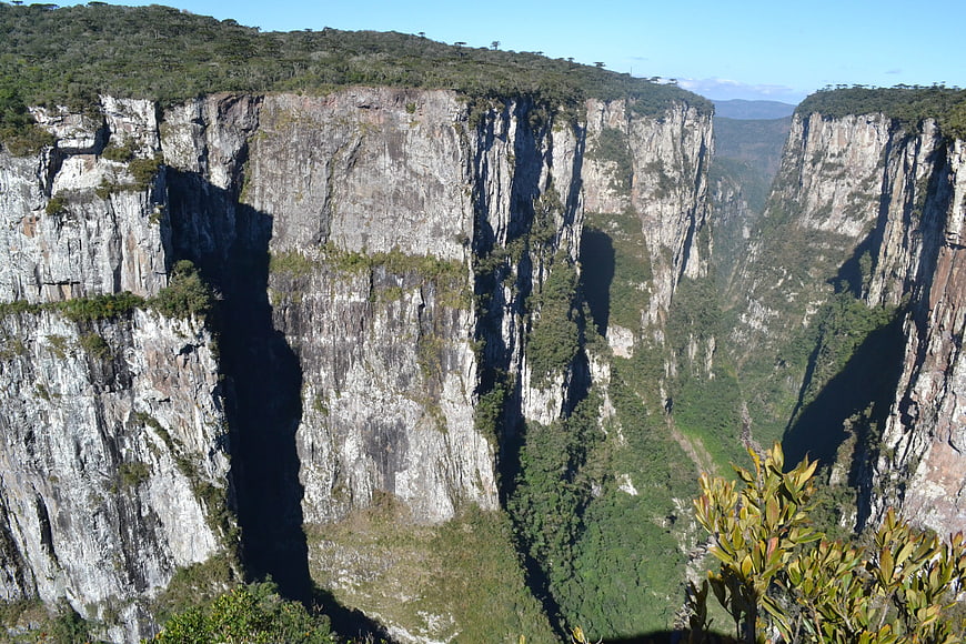 Dramatic view of steep canyon cliffs with lush vegetation