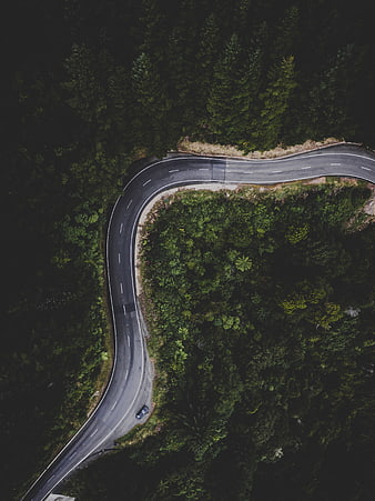 Aerial View of Winding Road Through Dark Forest