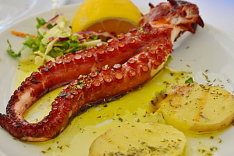 Grilled Octopus Tentacle With Potatoes And Salad On White Plate