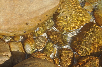 Sunlight Ripples on Clear Stream Water Over Smooth Stones