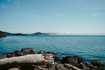 Serene coastal landscape with driftwood and misty islands