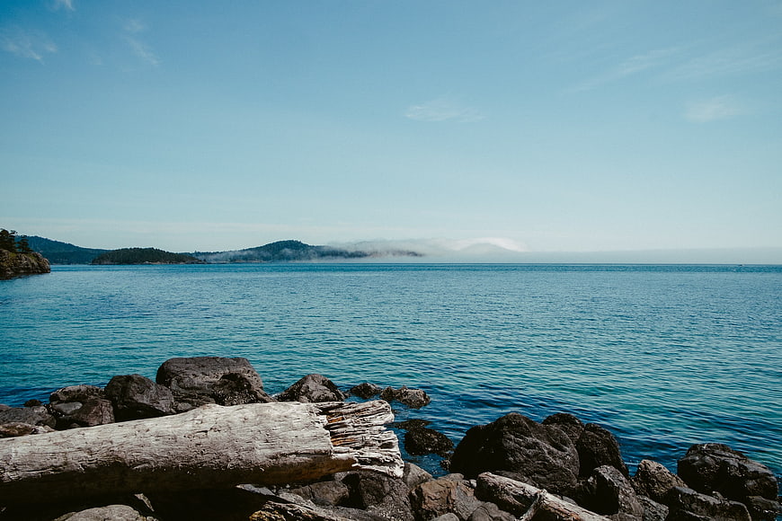 Serene coastal landscape with driftwood and misty islands
