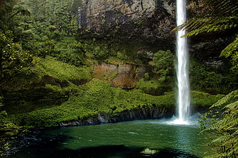 Bridal Veil Falls Waterfall in Lush New Zealand Forest