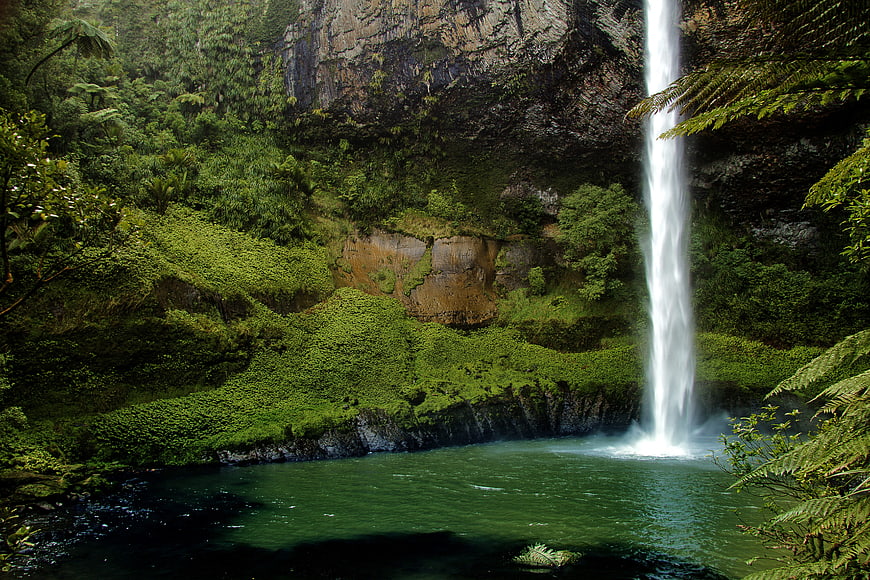 Bridal Veil Falls Waterfall in Lush New Zealand Forest