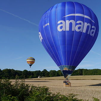 Blue Hot Air Balloon Landing in Harvested Field