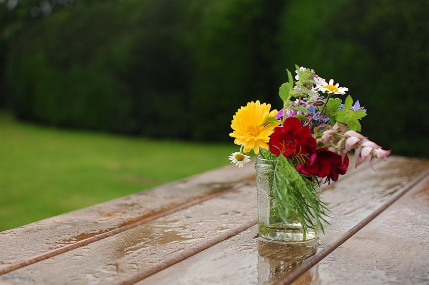 Wildflower bouquet in glass jar on wet wooden table outdoors