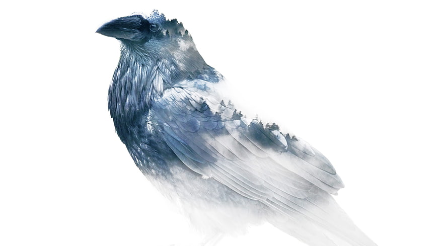 Double Exposure Raven With Winter Forest Landscape