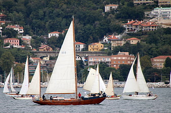 Classic wooden sailboats racing on the sea with coastal town