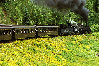 Vintage Steam Train Traveling Through Green Forest
