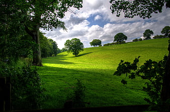 Lush Green Rolling Hill with Trees and Cloudy Sky