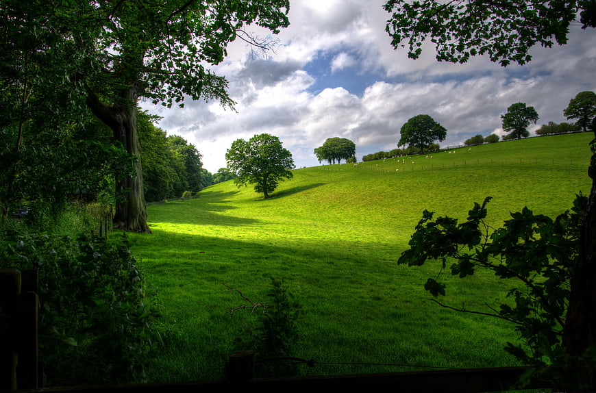 Lush Green Rolling Hill with Trees and Cloudy Sky