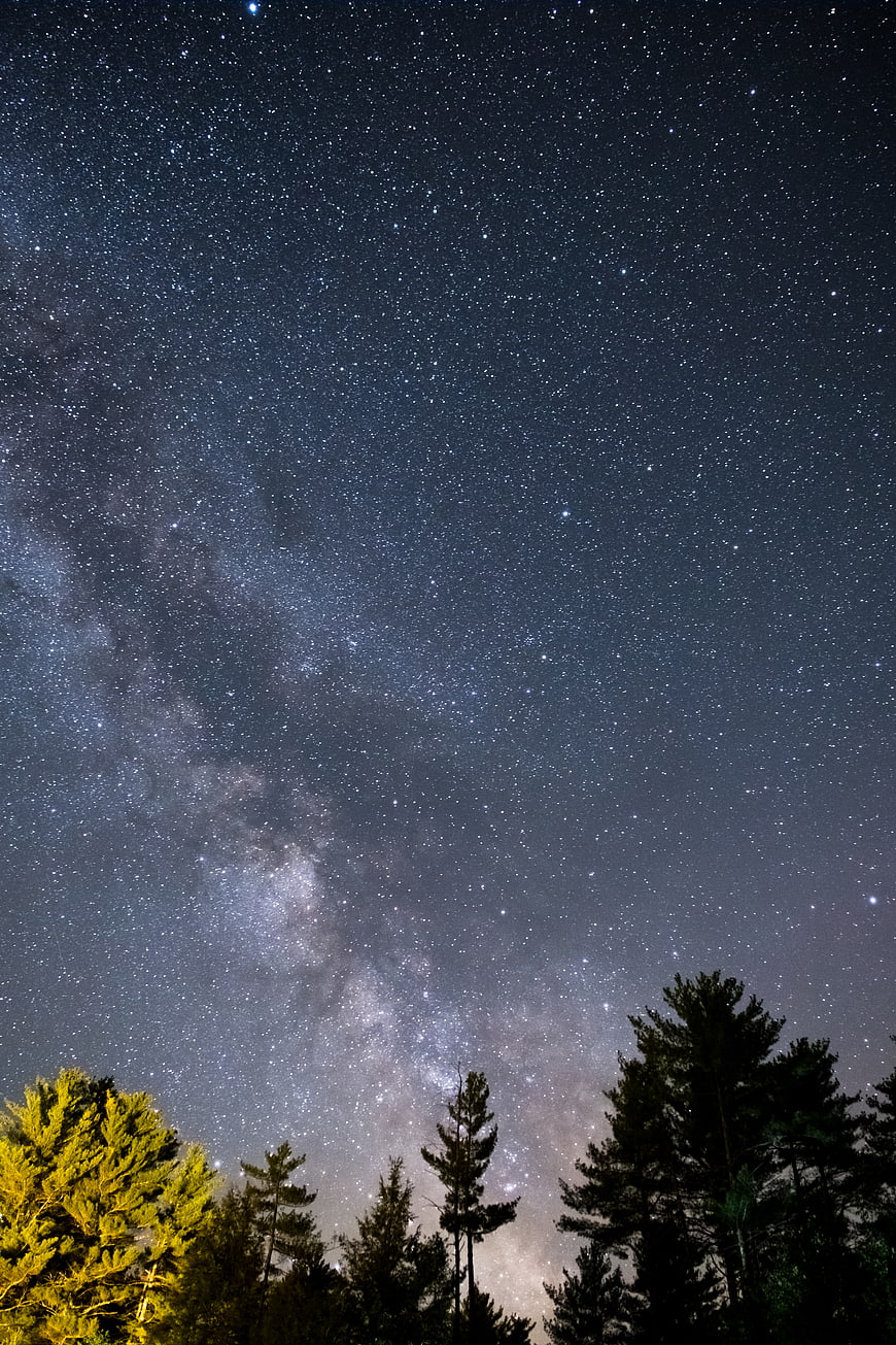 Milky Way Galaxy Over Pine Forest at Night