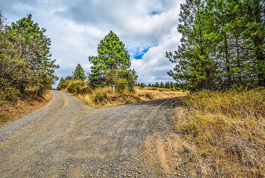 Gravel road fork in pine forest with cloudy sky