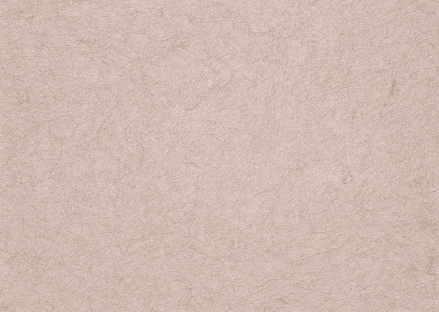 Light Brown Textured Leather Background Close Up Pattern