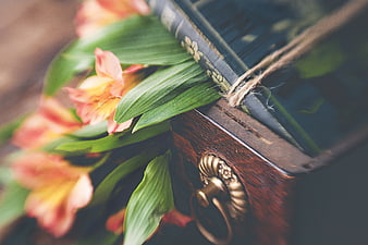 Vintage Book with Pink Alstroemeria Flowers on Wooden Box