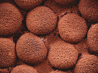 Close-up of chocolate truffles dusted with cocoa powder