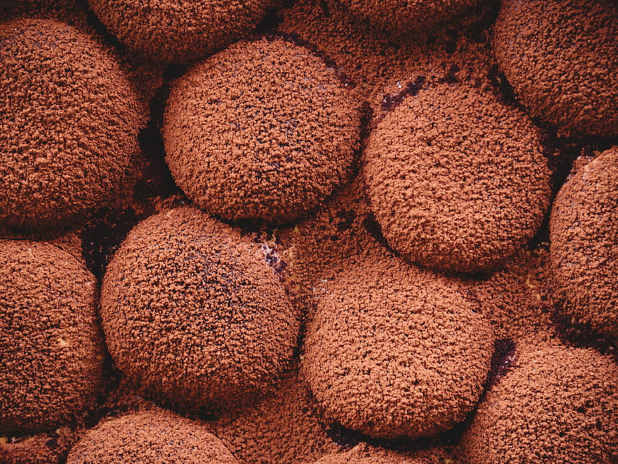 Close-up of chocolate truffles dusted with cocoa powder