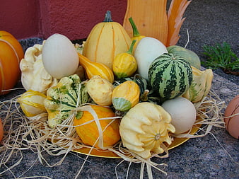 Autumn Harvest Display of Gourds and Pumpkins on Hay