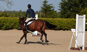 Equestrian rider on brown horse in outdoor show jumping arena
