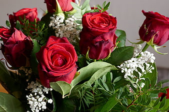 Close-up of vibrant red roses and baby's breath bouquet