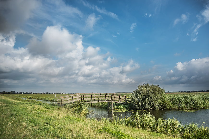 Wooden Bridge Over Canal in Green Marshland Landscape