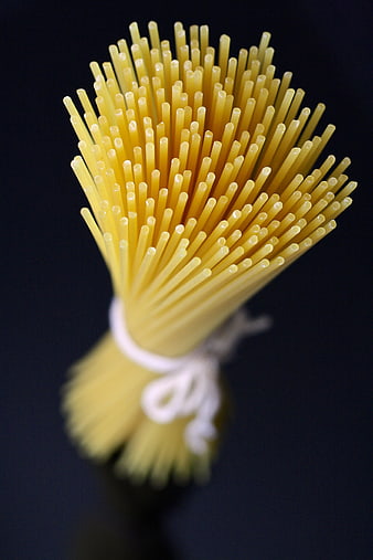 Bundle of raw spaghetti pasta on dark background