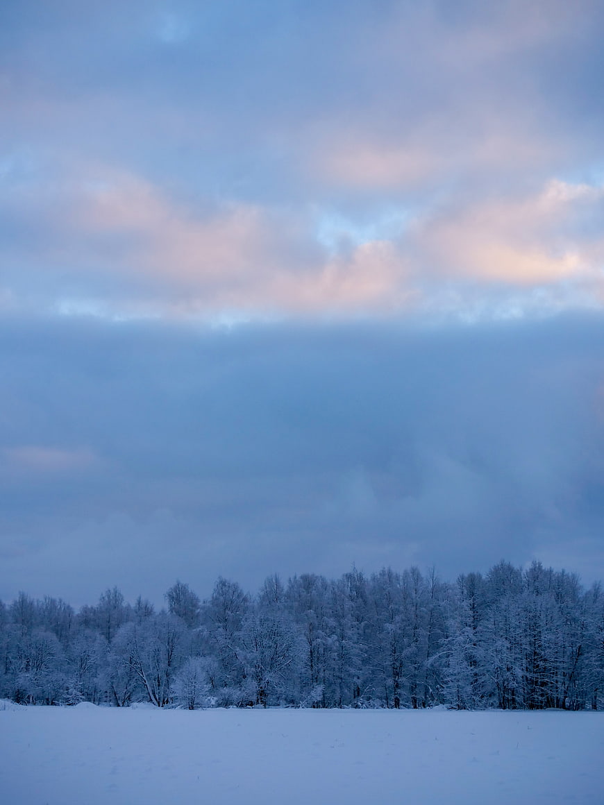 Serene Winter Landscape with Snowy Forest and Cloudy Sky