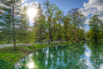 Sunlit park pond with lush green trees and reflections