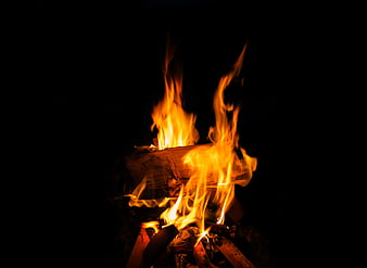 Campfire Flames Burning on Logs at Night