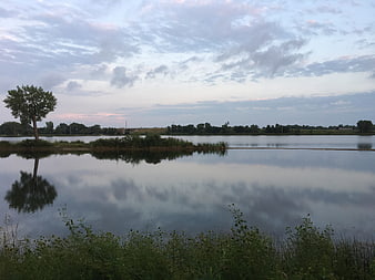 Serene lake landscape with tree reflection at dusk