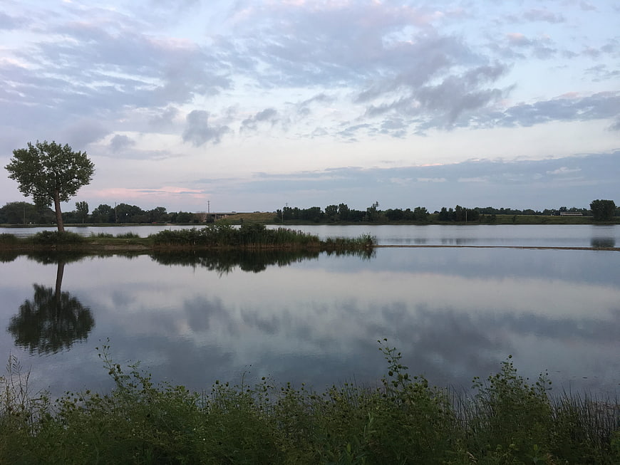 Serene lake landscape with tree reflection at dusk