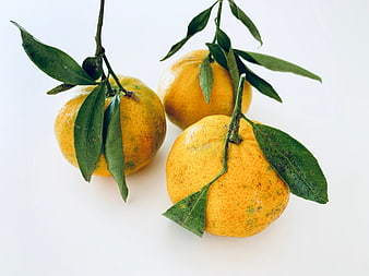 Fresh Mandarins with Leaves on White Background