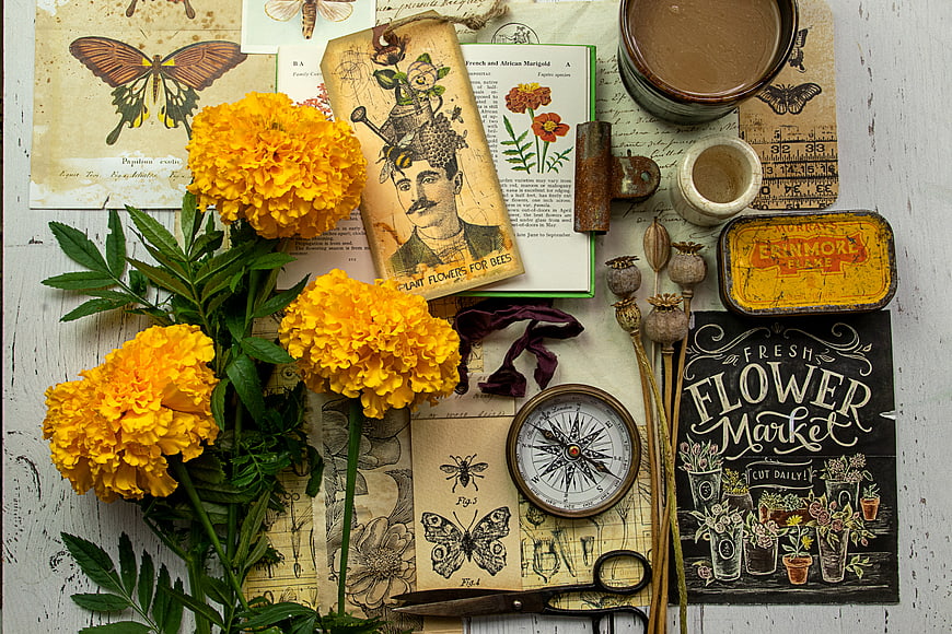 Vintage Botanical Flat Lay with Marigolds and Antique Objects