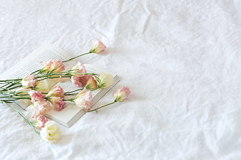 Pink and White Flowers on Open Book with Copyspace