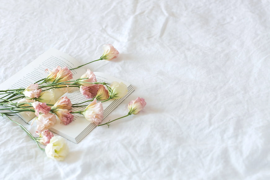 Pink and White Flowers on Open Book with Copyspace