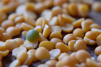 Macro shot of yellow split peas with one green pea
