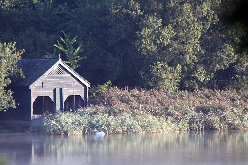 Serene Lake Scene with Wooden Boathouse and Swimming Swan