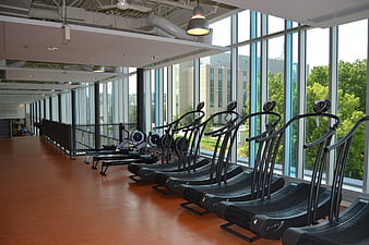 Modern gym interior with curved treadmills and large windows