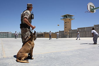 Military K9 Officer and Dog on Prison Yard Basketball Court