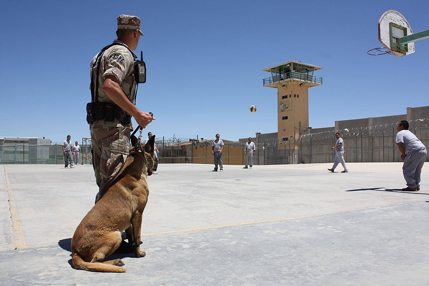 Military K9 Officer and Dog on Prison Yard Basketball Court