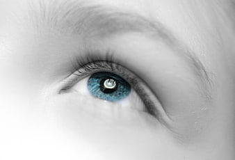 Close-up of a blue eye with black and white background