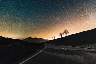 Starry Night Sky Over Winding Mountain Road with Silhouetted Trees